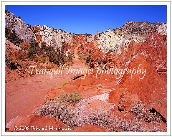 450546   Along the Cockscomb in Escalante, Utah